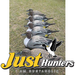 Pro Pintail Bullet Proof Decoys 6 Pc.