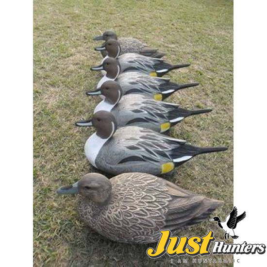 Pro Pintail Bullet Proof Decoys 6 Pc.