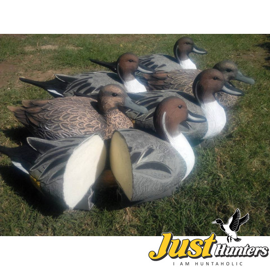 Pro Pintail Bullet Proof Decoys 6 Pc.