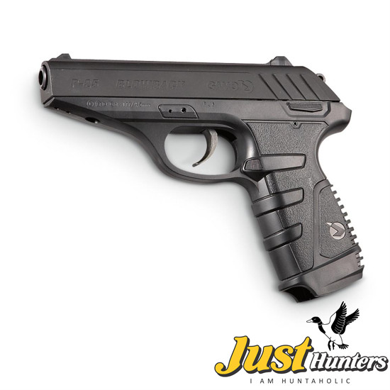 Gamo Air Pistol  PT-85 Blowback for Shooting