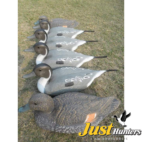 Standard Pintail Decoys 6 PC