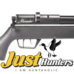 Benjamin Marauder .22