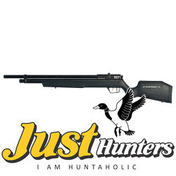 Benjamin Marauder .22