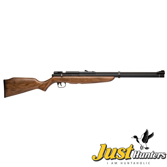 Airgun Benjamin Discovery Air Rifle .22