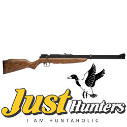 Benjamin Discovery Air Rifle .22