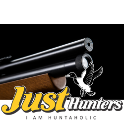 SPA PCP Airgun P10 