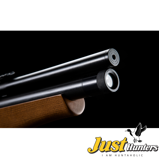 SPA PCP Airgun P10 