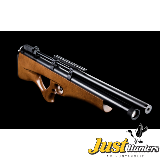 SPA PCP Airgun P10 