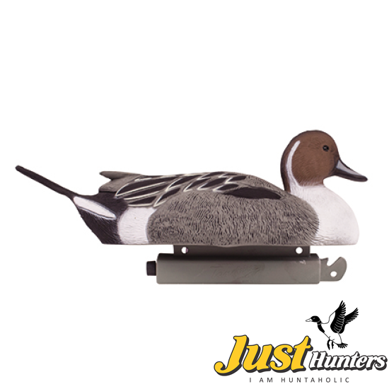 Tanglefree Pro Pintail Magnum Decoys Combo Pack 