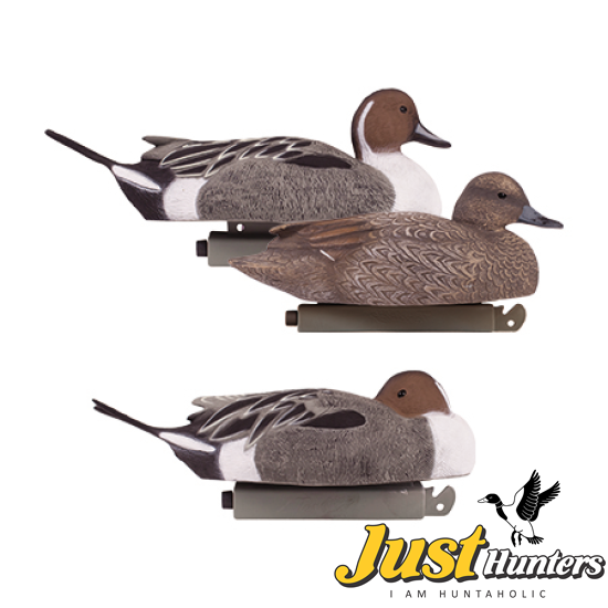 Tanglefree Pro Pintail Magnum Decoys Combo Pack 