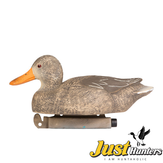 Tanglefree Pro Shoveler Duck Decoys Combo Pack