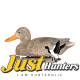 Tanglefree Pro Shoveler Duck Decoys Combo Pack