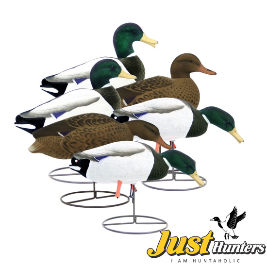 Magnum Mallard Duck Decoys