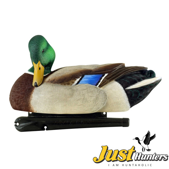 Magnum Mallard Duck Decoys