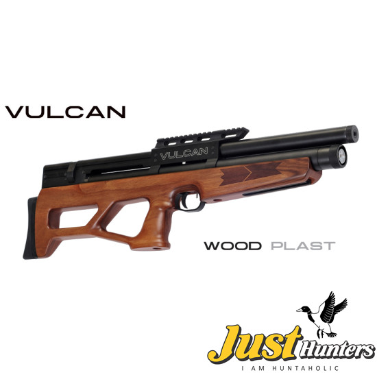 Vulcan Air Rifle .25