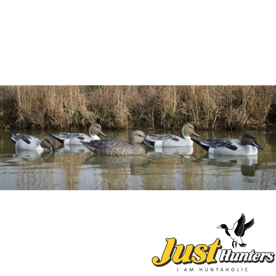 Higdon Pintail Duck Decoys 6 Pc.