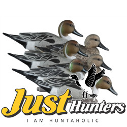 Higdon Pintail Duck Decoys 6 Pc.