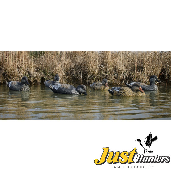 Higdon Gadwall Duck Decoys 6 Pc.