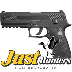 SIG Sauer P320 CO2 Pistol Metal Slide