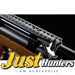 Artemis PCP Airgun P10  Artemis PCP Airgun P10