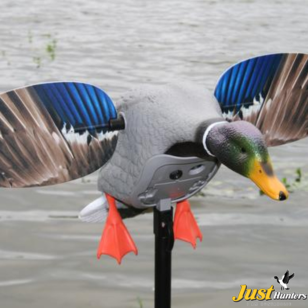 MOJO Outdoor King Mallard