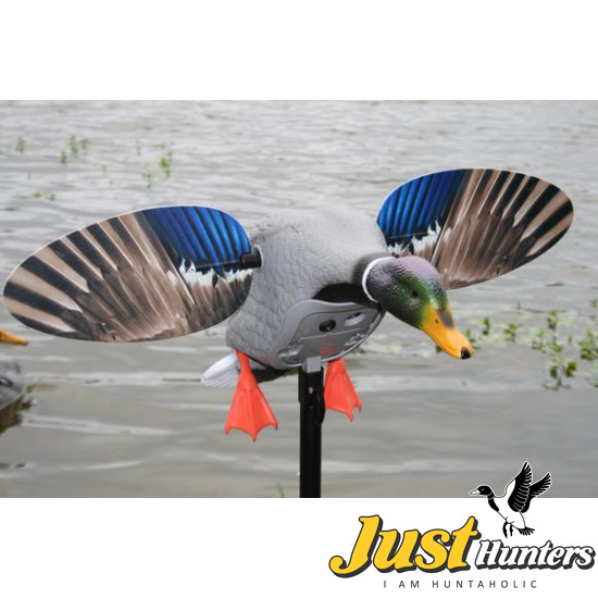 MOJO Outdoor King Mallard