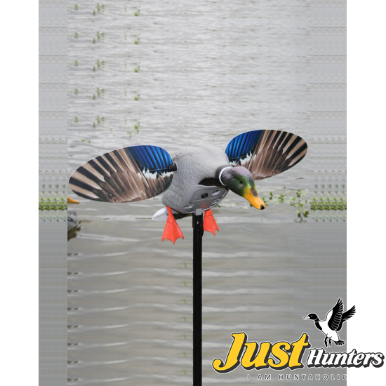 MOJO Outdoor King Mallard