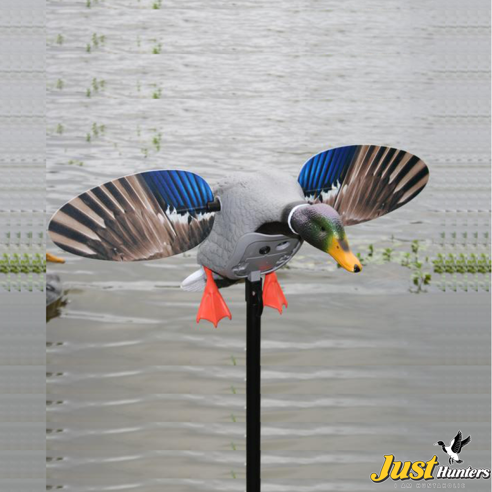 MOJO Outdoor King Mallard