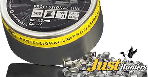 Rws Meisterkugeln Professional Line 5.5mm 250pz 14gr Xchwsp | Meses sin interés