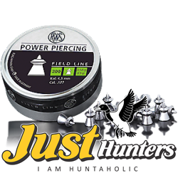 RWS Superpoint Extra .22 Pellets, 200 Count Airgun Pellets