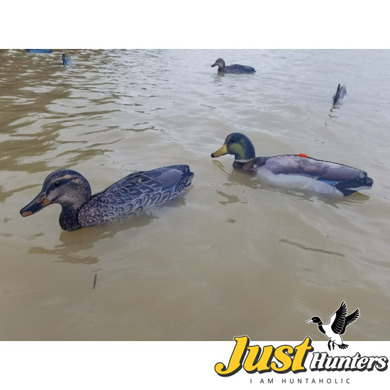 Mallard Foldable, Portable, Shotproof Decoys