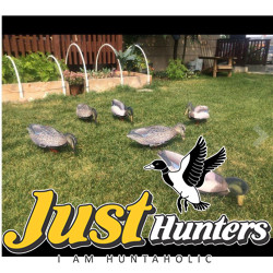 Mallard Foldable, Portable, Shotproof Decoys Mallard Foldable, Portable, Shotproof Decoys