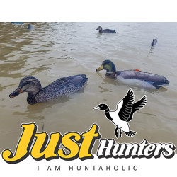 Mallard Foldable, Portable, Shotproof Decoys