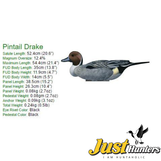 Pintail Decoy Foldable, Portable, Shotproof Decoys