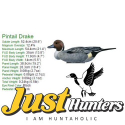 Pintail Decoy Foldable, Portable, Shotproof Decoys