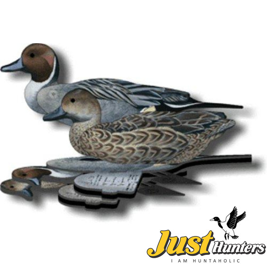 Pintail Decoy Foldable, Portable, Shotproof Decoys