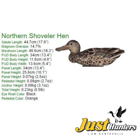 Shoveler Foldable, Portable, Shotproof Decoys