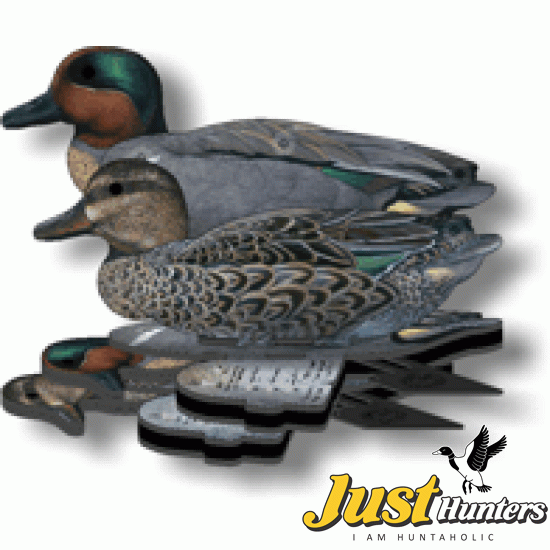 Green Wing Teal Foldable, Portable, Shotproof Decoys