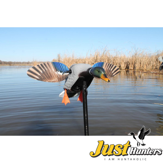 MOJO® Elite Series™ - Mini Mallard Drake MOJO® Elite Series™ - Mini Mallard Drake