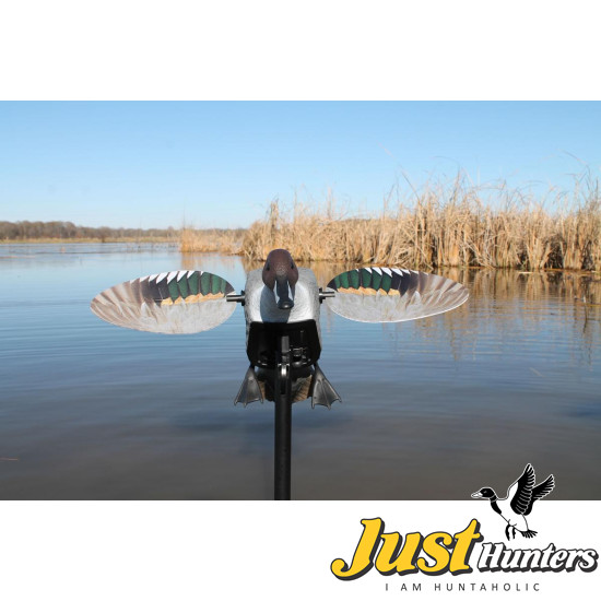 MOJO® Elite Series™ - Pintail