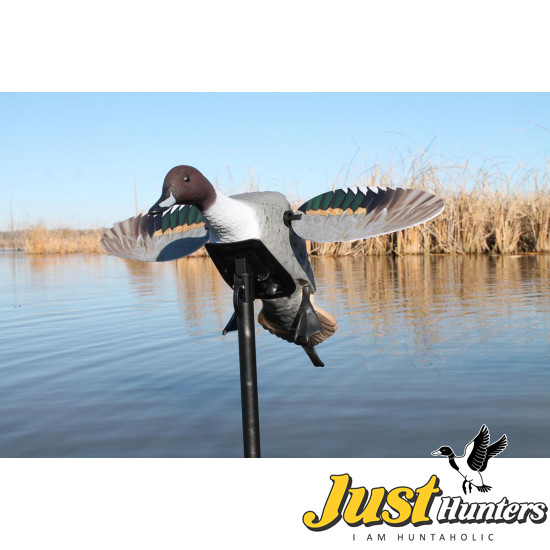 MOJO® Elite Series™ - Pintail