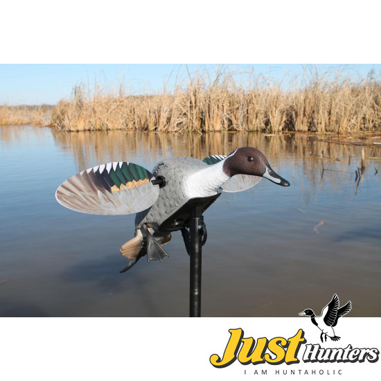 MOJO® Elite Series™ - Pintail