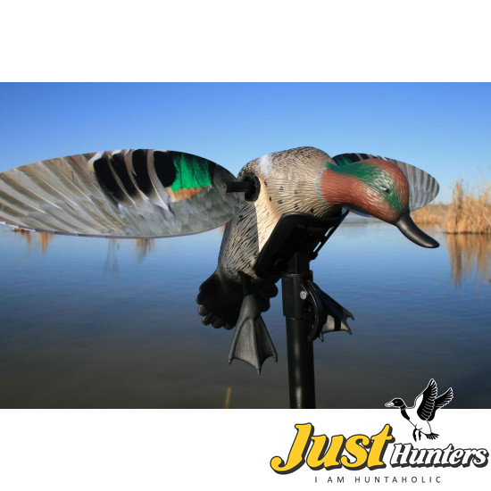 MOJO® Elite Series™ - Green Wing Teal