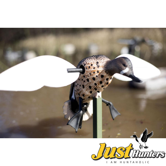 MOJO® Blue Wing Teal