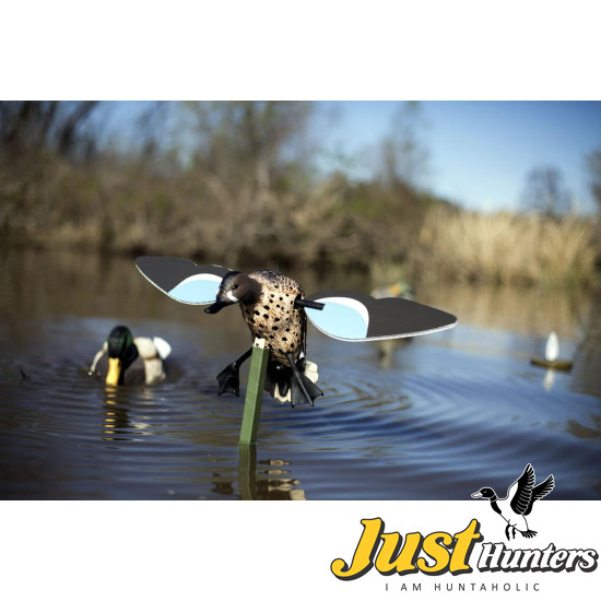 MOJO® Blue Wing Teal