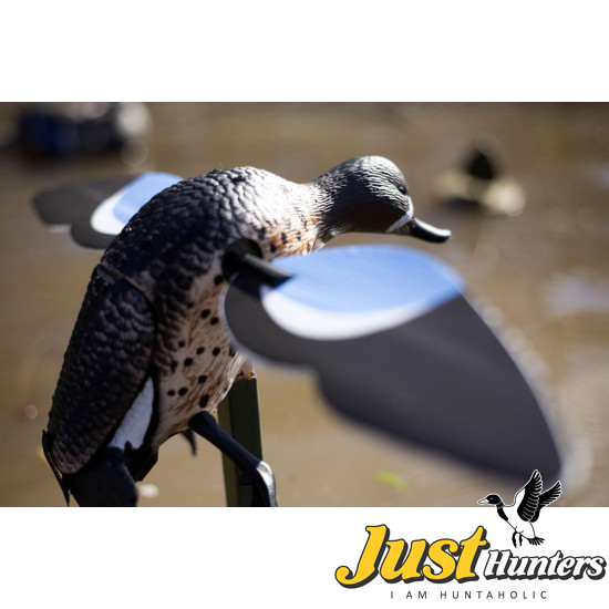 MOJO® Blue Wing Teal