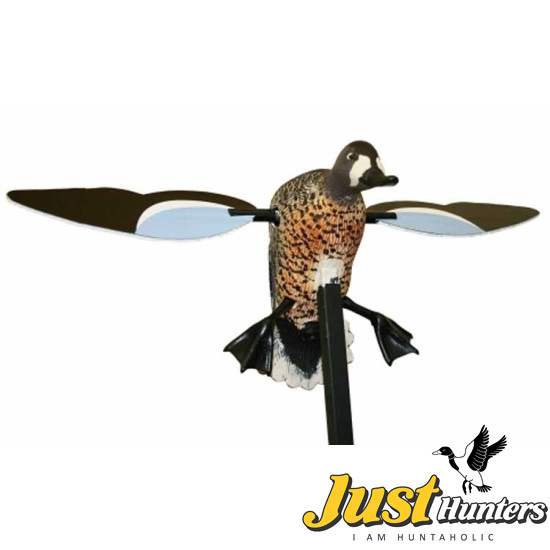 MOJO® Blue Wing Teal