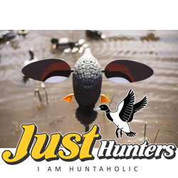 MOJO® Outdoor Gadwall MOJO® Outdoor Gadwall