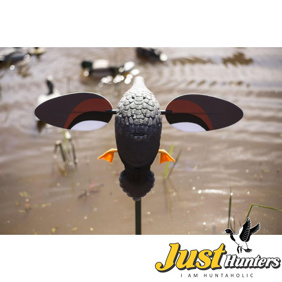 MOJO® Outdoor Gadwall