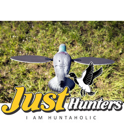 Mojo Pigeon Decoy